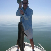 Cobia