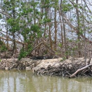 Whitewater to Little Palm Island 2006 157