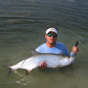 Tarpon