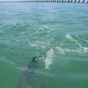 Whitewater to Little Palm Island 2006 014